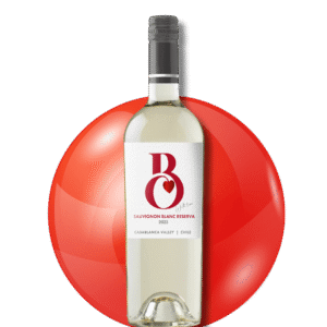 Sauvignon Blanc Reserva